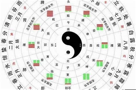 嫣 五行|嫣字的五行属性是什么